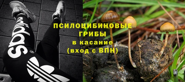 стаф Абаза