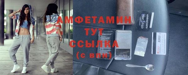 стаф Абаза
