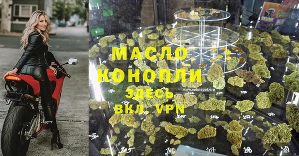 стаф Абаза