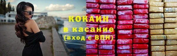 соль ск Алексин