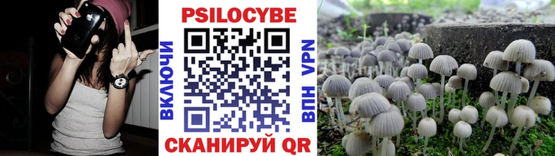 Галлюциногенные грибы мицелий  купить наркотики цена  Элиста 