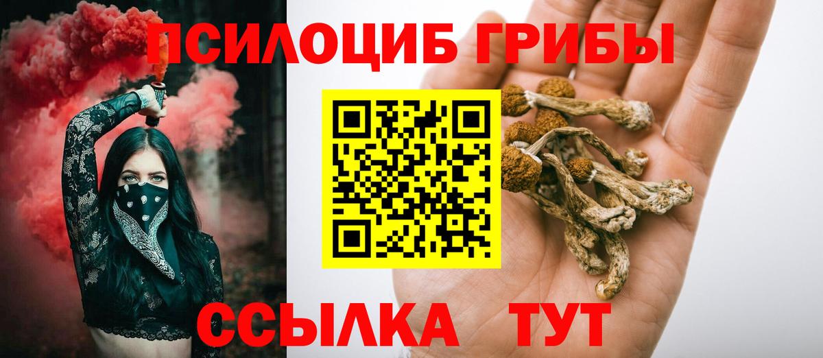 Галлюциногенные грибы Magic Shrooms Элиста