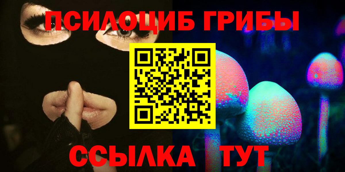Элиста  Псилоцибиновые грибы Psilocybine cubensis  Вход с VPN 